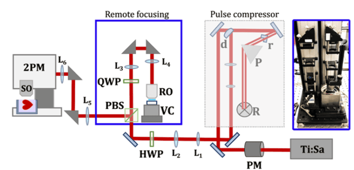 Figure 2: Experimental setup of the 2-photon microscope with custom-built remote focusing module and dispersion compensation units.